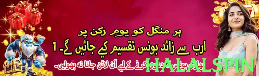 halalspin Pakistan - 3