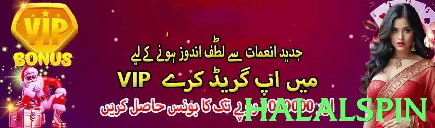 halalspin App - 5